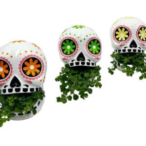 5" Sugar skull with a tropical plant growing out of its mouth