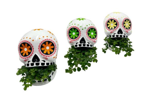 5" Sugar skull with a tropical plant growing out of its mouth