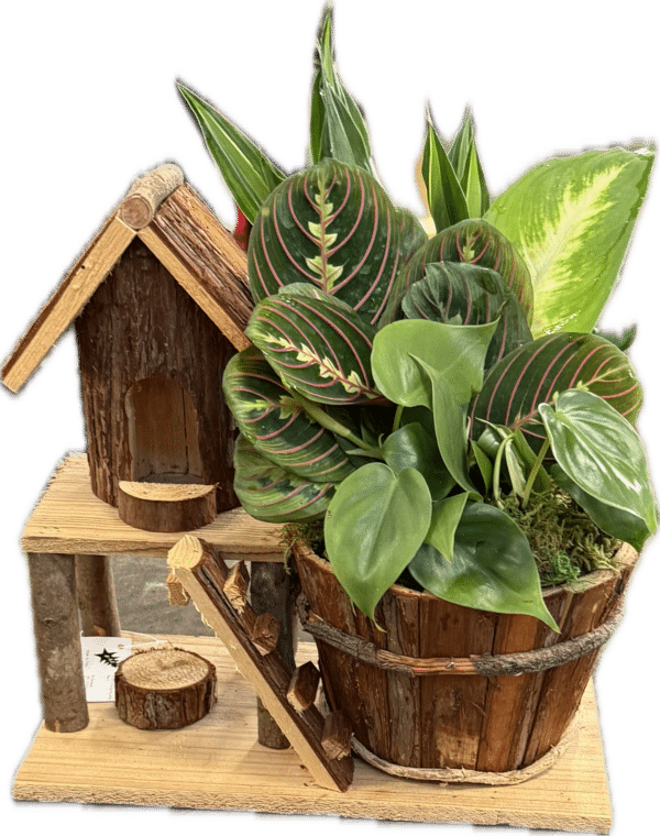 Birdhouse Planter Large